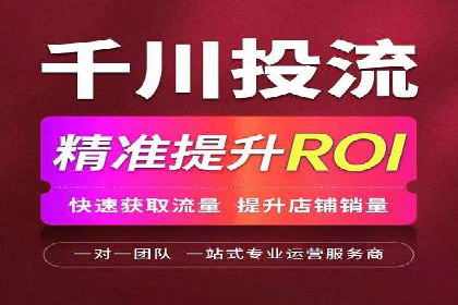 竞价托管与SEO结合的案例分析